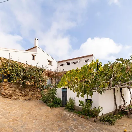 Albaida Holiday home *